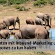 Inbound Marketing Wasserloch-Strategie