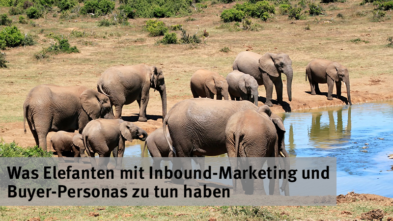 Inbound Marketing Wasserloch-Strategie