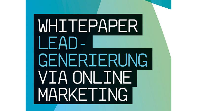 TrafficGenerator Whitepaper Leadgenerierung via Online Marketing